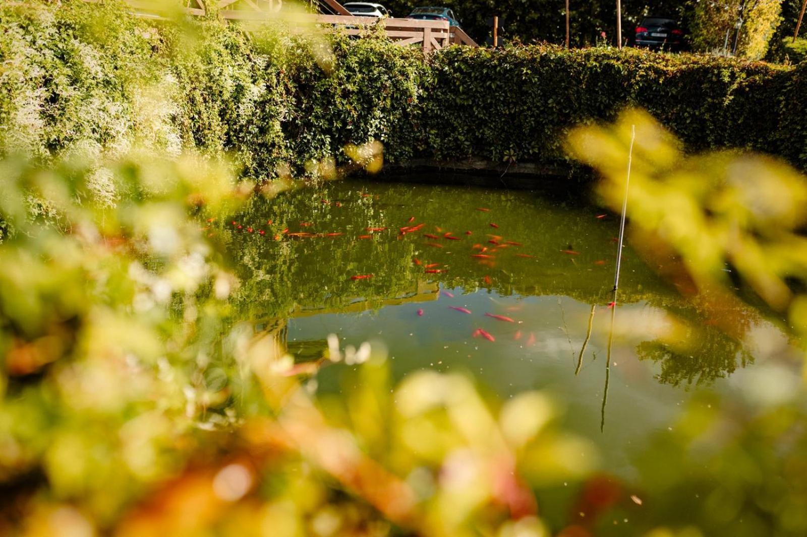 Lucni Penzion Česká Skalice Bagian luar foto